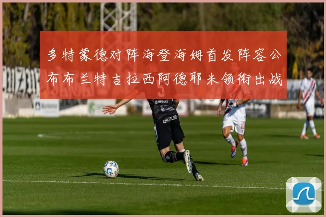 多特蒙德对阵海登海姆首发阵容公布布兰特吉拉西阿德耶米领衔出战